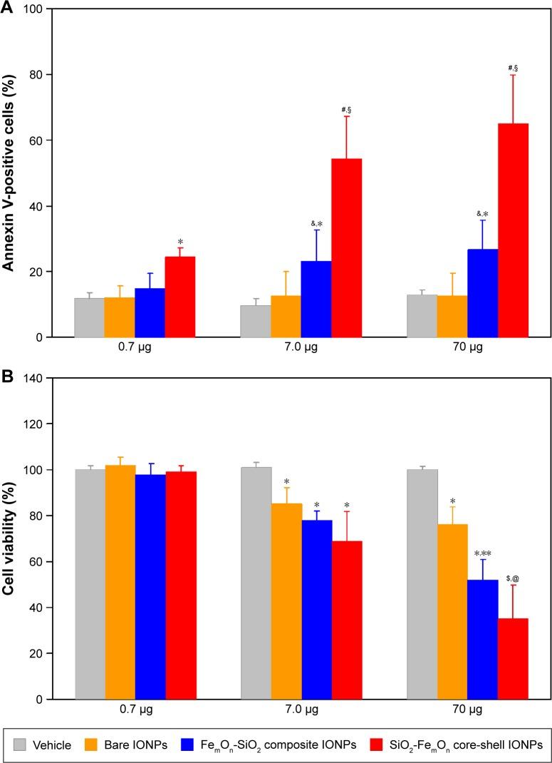 https://cdn.ncbi.nlm.nih.gov/pmc/blobs/b31d/5245979/d9df93958a3c/ijn-12-593Fig5.jpg