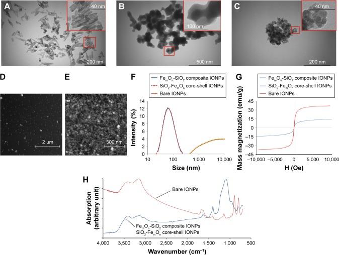 https://cdn.ncbi.nlm.nih.gov/pmc/blobs/b31d/5245979/f1bfeace5097/ijn-12-593Fig2.jpg