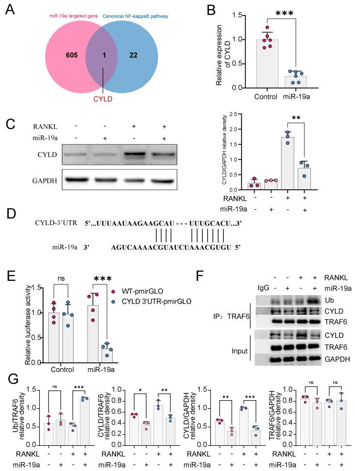 https://cdn.ncbi.nlm.nih.gov/pmc/blobs/b321/10813535/5299bbbeb5a6/cancers-16-00302-g003.jpg
