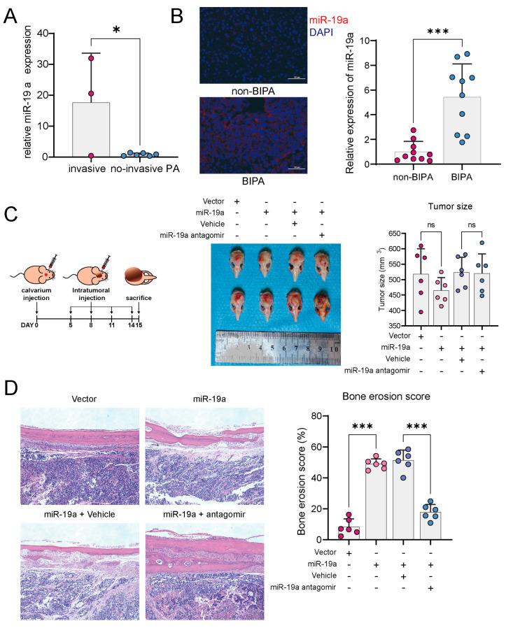 https://cdn.ncbi.nlm.nih.gov/pmc/blobs/b321/10813535/8c85140d293c/cancers-16-00302-g001.jpg