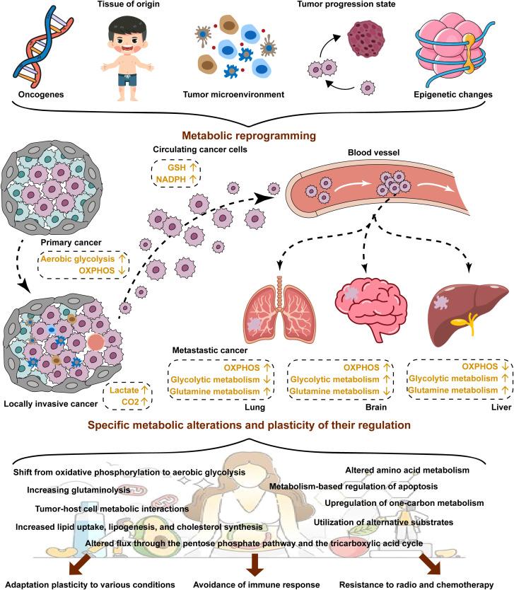 https://cdn.ncbi.nlm.nih.gov/pmc/blobs/b322/12129893/cd8cb4e28ea2/fimmu-16-1582166-g001.jpg