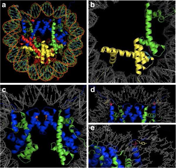 https://cdn.ncbi.nlm.nih.gov/pmc/blobs/b323/3737111/8ade6ff30817/1756-8935-6-24-2.jpg