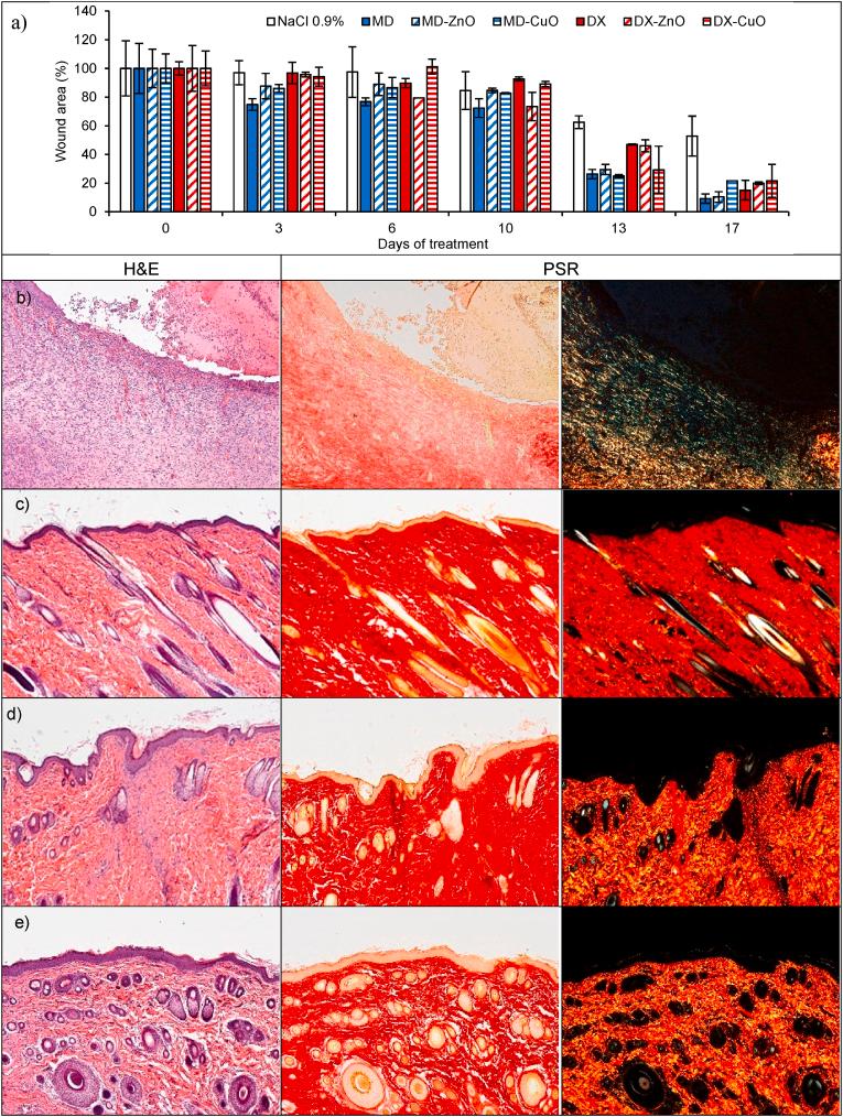 https://cdn.ncbi.nlm.nih.gov/pmc/blobs/b323/9489812/e7dac9c5d1db/gr8a.jpg