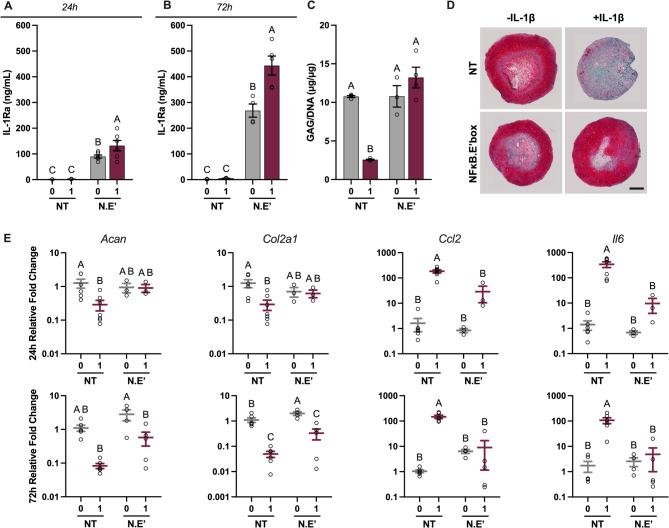 https://cdn.ncbi.nlm.nih.gov/pmc/blobs/b324/12090394/666f8ec56af2/13036_2025_519_Fig5_HTML.jpg