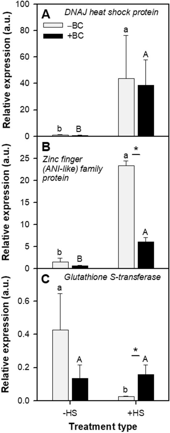 https://cdn.ncbi.nlm.nih.gov/pmc/blobs/b325/8110981/39185bf6f6f2/41598_2021_88856_Fig4_HTML.jpg