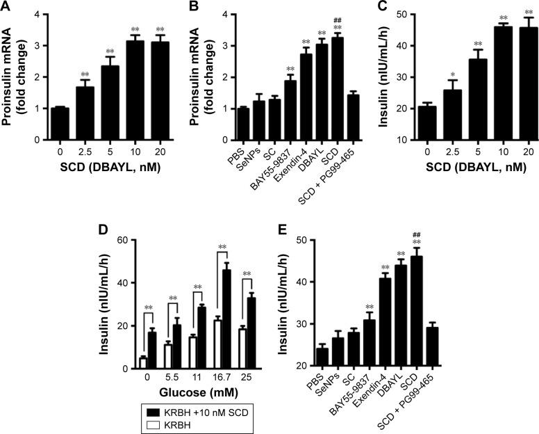 https://cdn.ncbi.nlm.nih.gov/pmc/blobs/b328/5367579/1d0e1fe96604/ijn-12-2143Fig4.jpg