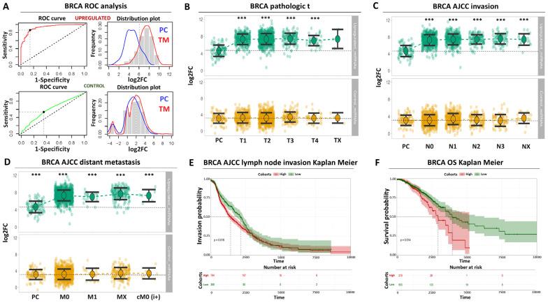 https://cdn.ncbi.nlm.nih.gov/pmc/blobs/b32c/11591846/81789b54c34f/biomolecules-14-01352-g002.jpg
