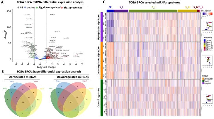 https://cdn.ncbi.nlm.nih.gov/pmc/blobs/b32c/11591846/845d24e777be/biomolecules-14-01352-g001.jpg