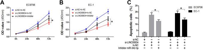https://cdn.ncbi.nlm.nih.gov/pmc/blobs/b32c/7318810/1c89bb123412/10.1177_1533033820928508-fig5.jpg
