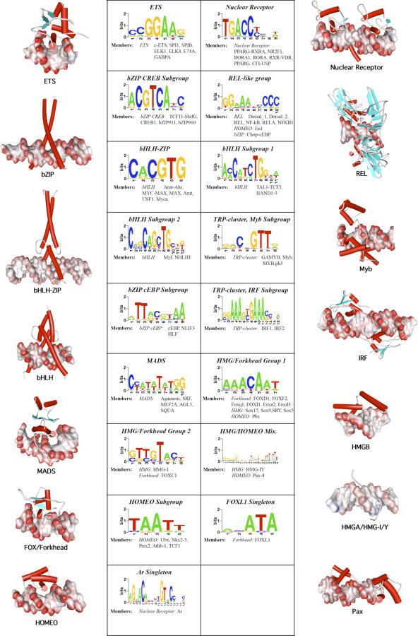 https://cdn.ncbi.nlm.nih.gov/pmc/blobs/b32d/1848003/574e0caa3a3d/pcbi.0030061.g008.jpg