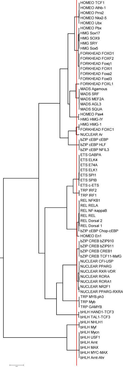 https://cdn.ncbi.nlm.nih.gov/pmc/blobs/b32d/1848003/fb56f713f045/pcbi.0030061.g005.jpg