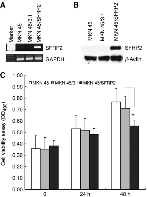 https://cdn.ncbi.nlm.nih.gov/pmc/blobs/b32d/2360406/38a648302d52/6603968f4.jpg