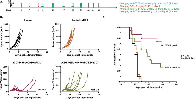 https://cdn.ncbi.nlm.nih.gov/pmc/blobs/b32e/10793677/2c89c55647fa/KCBT_A_2296048_F0002_OC.jpg