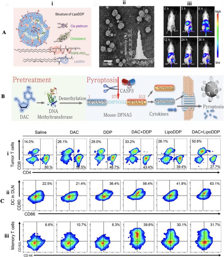 https://cdn.ncbi.nlm.nih.gov/pmc/blobs/b32f/10921615/18b73fb60710/12951_2024_2297_Fig10_HTML.jpg