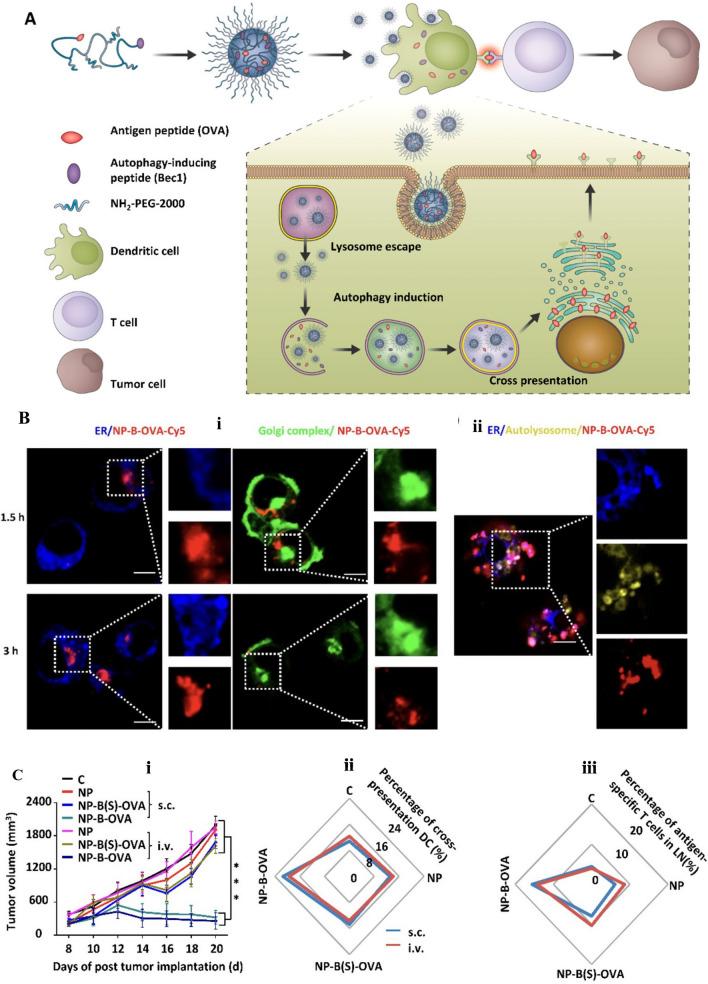 https://cdn.ncbi.nlm.nih.gov/pmc/blobs/b32f/10921615/3324b4523b9b/12951_2024_2297_Fig12_HTML.jpg