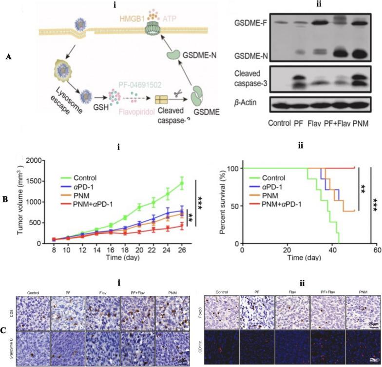 https://cdn.ncbi.nlm.nih.gov/pmc/blobs/b32f/10921615/7b5c8edd8b27/12951_2024_2297_Fig9_HTML.jpg
