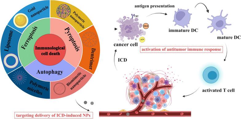 https://cdn.ncbi.nlm.nih.gov/pmc/blobs/b32f/10921615/a83cfc70c9f6/12951_2024_2297_Fig1_HTML.jpg