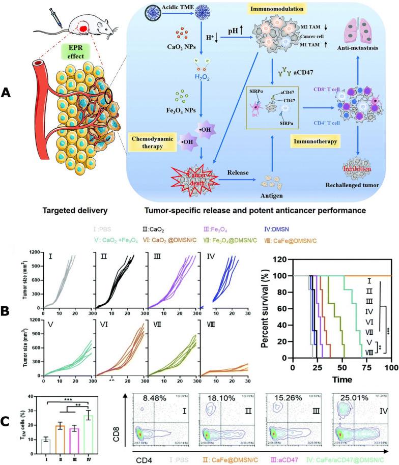 https://cdn.ncbi.nlm.nih.gov/pmc/blobs/b32f/10921615/b46c9a4b1f88/12951_2024_2297_Fig3_HTML.jpg