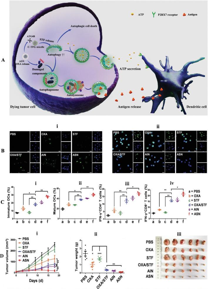 https://cdn.ncbi.nlm.nih.gov/pmc/blobs/b32f/10921615/bbc0c7d1aa8d/12951_2024_2297_Fig11_HTML.jpg