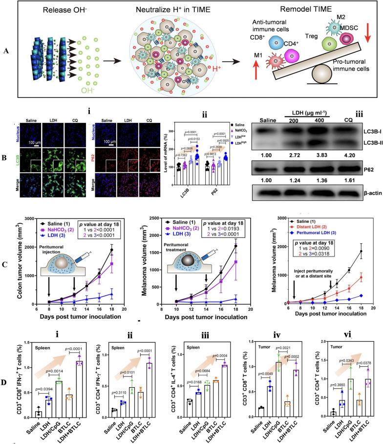 https://cdn.ncbi.nlm.nih.gov/pmc/blobs/b32f/10921615/c9d7dac342f3/12951_2024_2297_Fig13_HTML.jpg
