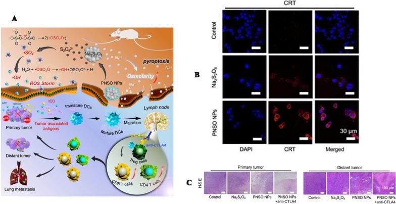 https://cdn.ncbi.nlm.nih.gov/pmc/blobs/b32f/10921615/d0feaec132b6/12951_2024_2297_Fig7_HTML.jpg