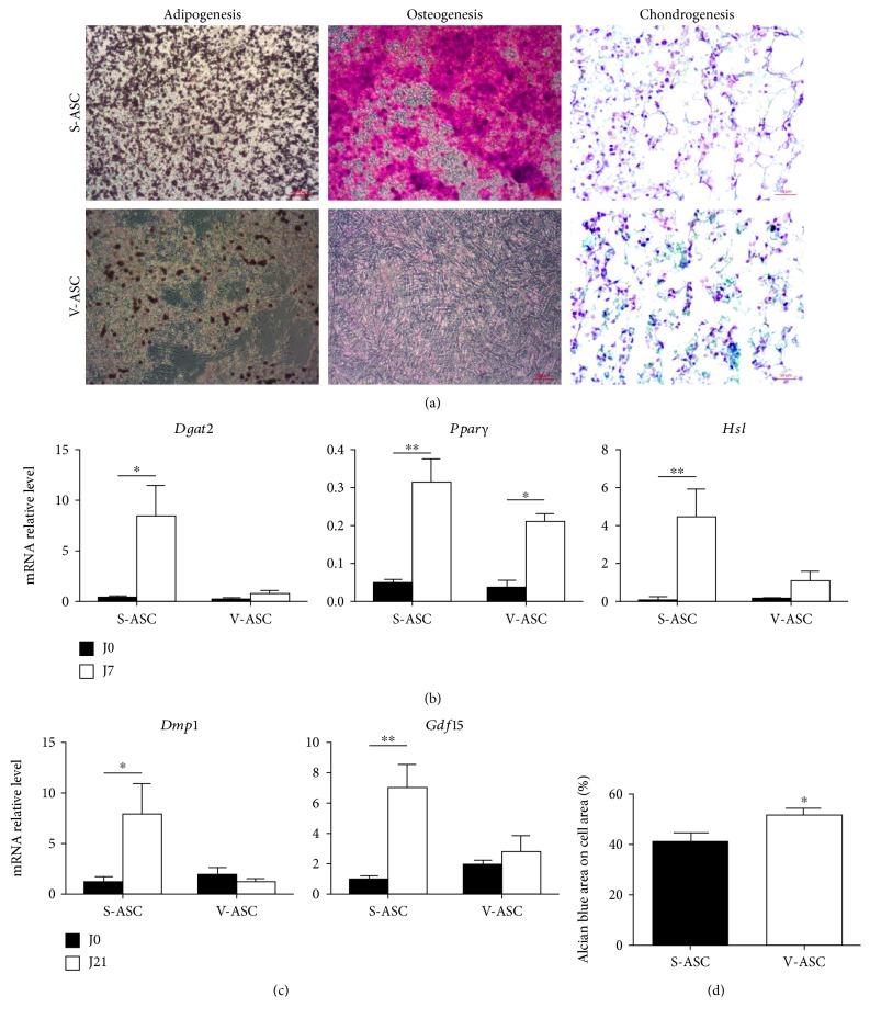 https://cdn.ncbi.nlm.nih.gov/pmc/blobs/b330/6541987/b38aea9bb998/SCI2019-9323864.002.jpg