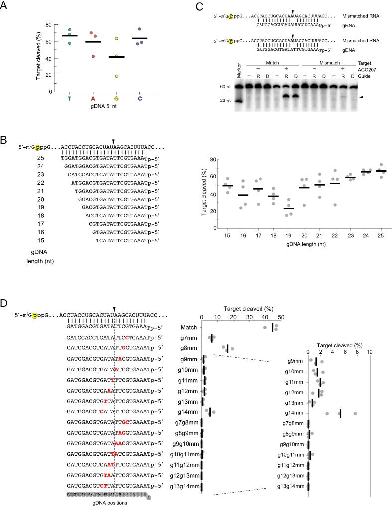 https://cdn.ncbi.nlm.nih.gov/pmc/blobs/b331/6144825/167a5f26d9c6/gky496fig2.jpg