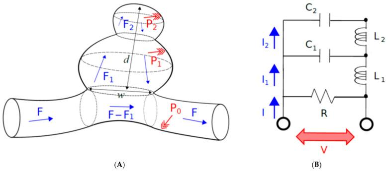https://cdn.ncbi.nlm.nih.gov/pmc/blobs/b331/9405599/804515988515/brainsci-12-01016-g001.jpg