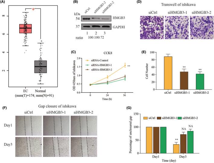 https://cdn.ncbi.nlm.nih.gov/pmc/blobs/b333/9741985/dd36e0973f0a/CAM4-11-4641-g002.jpg