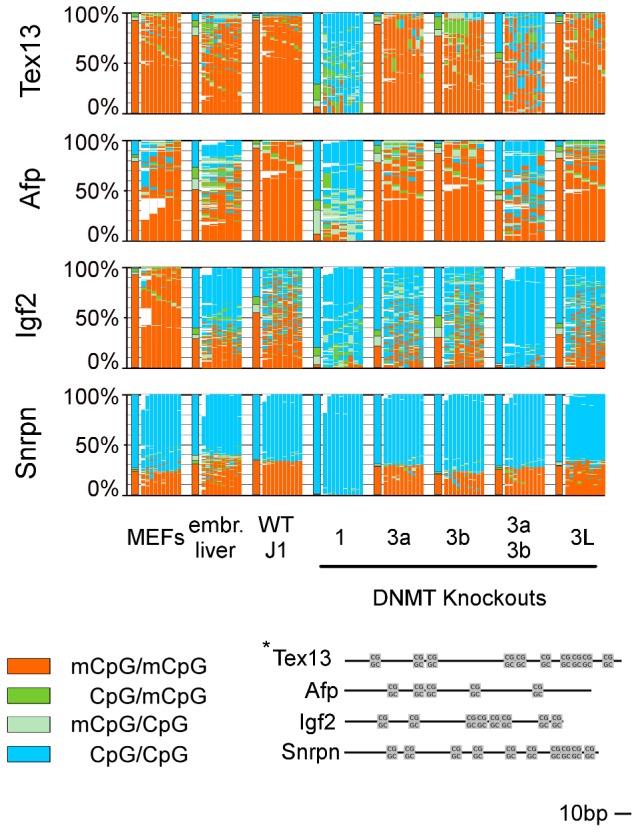 https://cdn.ncbi.nlm.nih.gov/pmc/blobs/b334/3386304/f289600831df/pgen.1002750.g002.jpg