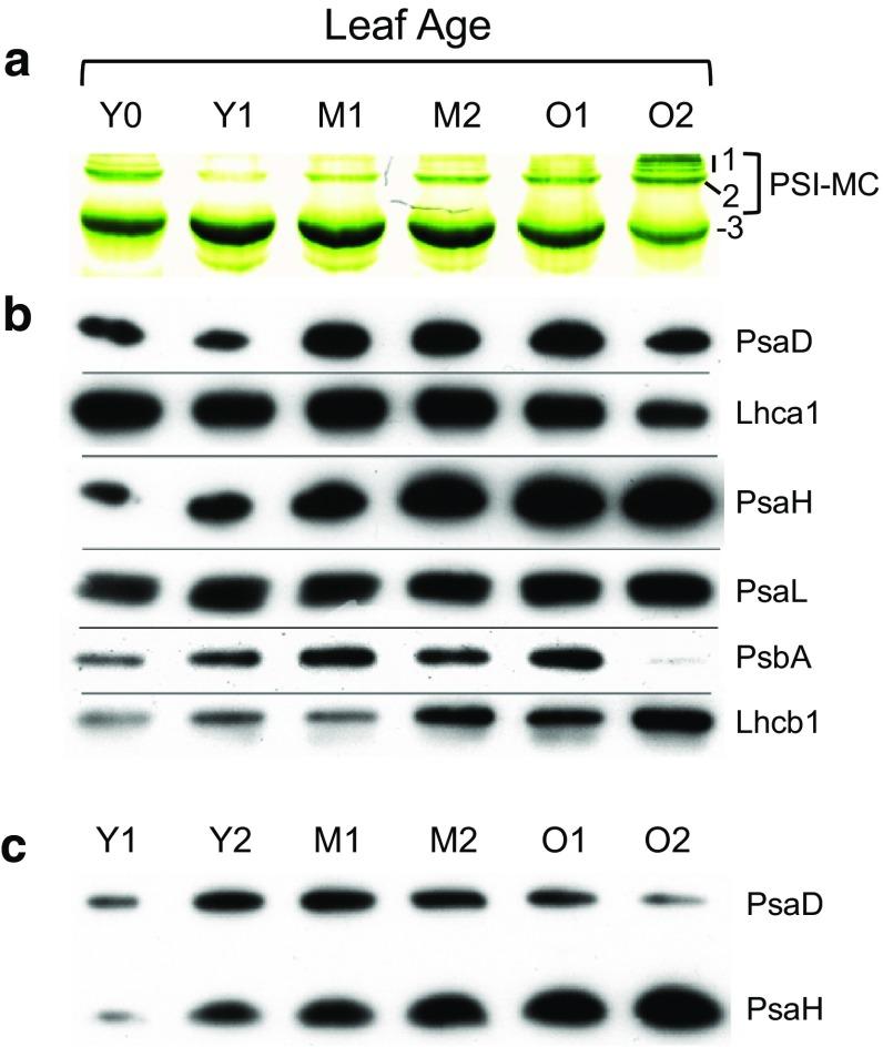 https://cdn.ncbi.nlm.nih.gov/pmc/blobs/b338/5851685/d44313c4f54d/11120_2017_447_Fig5_HTML.jpg