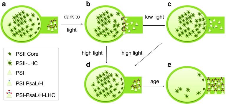 https://cdn.ncbi.nlm.nih.gov/pmc/blobs/b338/5851685/ec9a1eba91ca/11120_2017_447_Fig6_HTML.jpg