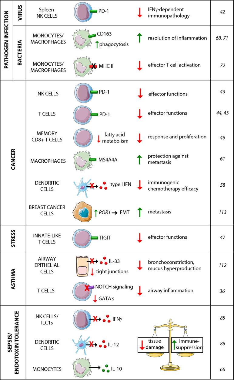https://cdn.ncbi.nlm.nih.gov/pmc/blobs/b338/7456664/002f0ae03413/41423_2020_526_Fig3_HTML.jpg