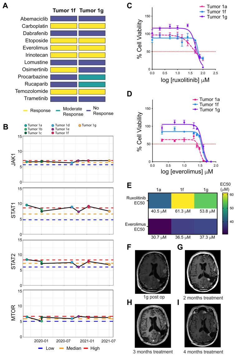 https://cdn.ncbi.nlm.nih.gov/pmc/blobs/b339/8699481/c1f24a65c260/cells-10-03400-g006.jpg