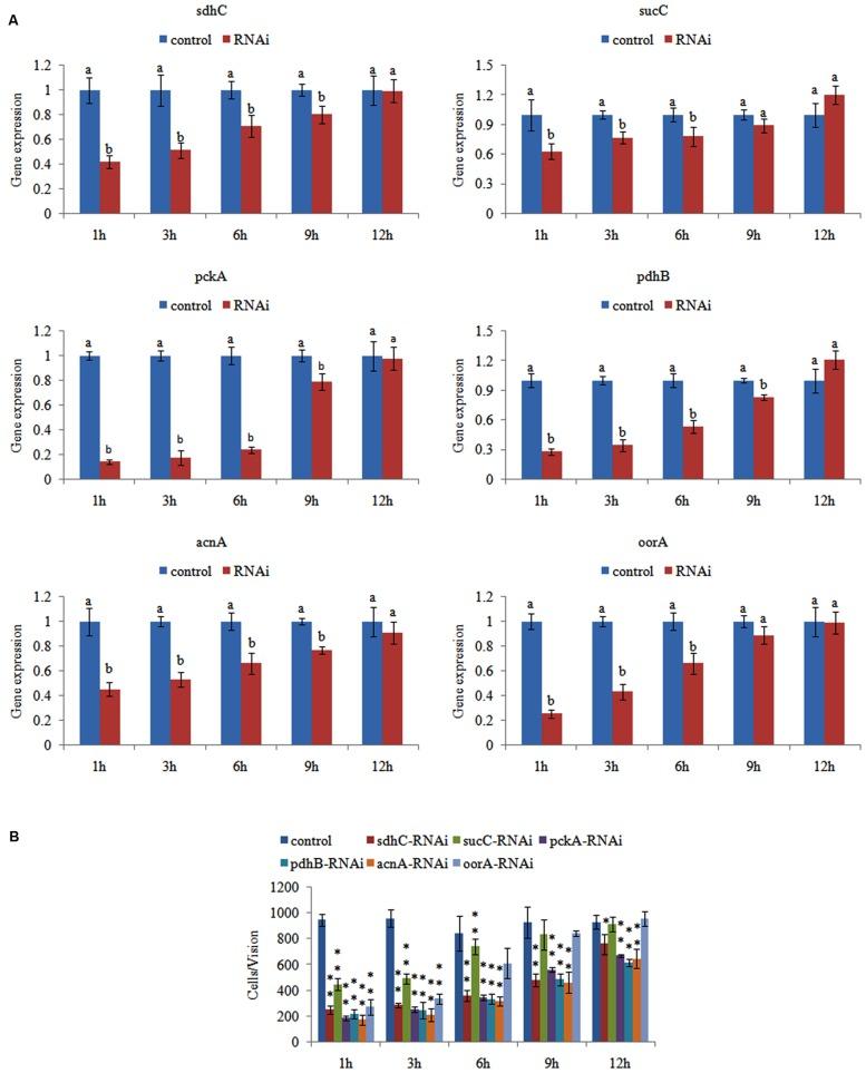https://cdn.ncbi.nlm.nih.gov/pmc/blobs/b33a/4735382/5398c6c5faeb/fmicb-07-00040-g002.jpg