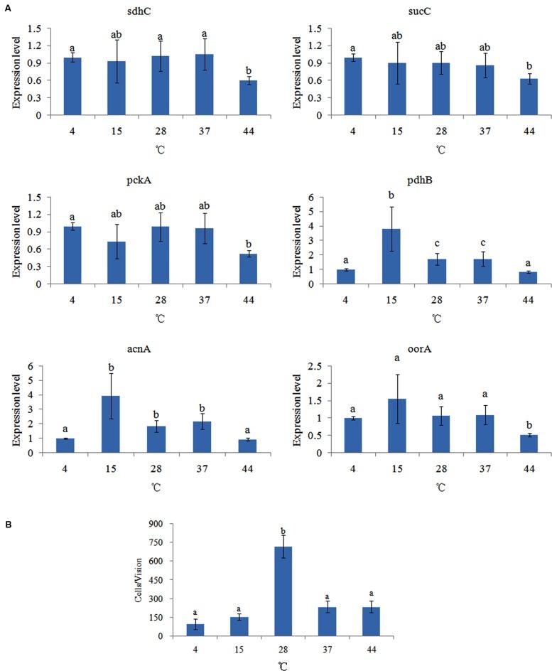 https://cdn.ncbi.nlm.nih.gov/pmc/blobs/b33a/4735382/b86fc2debb91/fmicb-07-00040-g003.jpg
