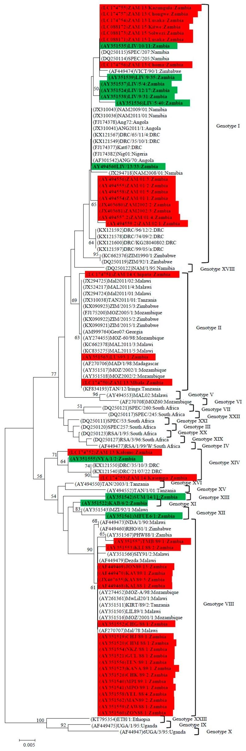 https://cdn.ncbi.nlm.nih.gov/pmc/blobs/b33a/5618003/600a748ceb33/viruses-09-00236-g003.jpg