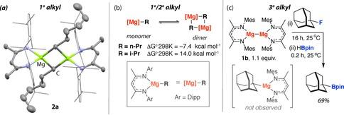 https://cdn.ncbi.nlm.nih.gov/pmc/blobs/b33b/6471154/50f5c78be78d/CHEM-24-16282-g001.jpg