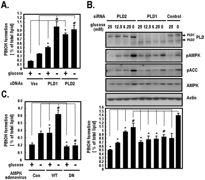 https://cdn.ncbi.nlm.nih.gov/pmc/blobs/b33f/2834755/f3f7fc1ce7ac/pone.0009600.g001.jpg