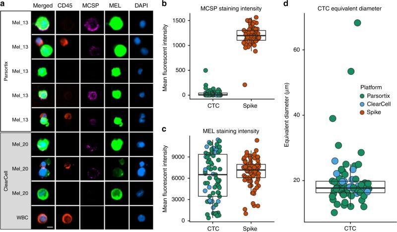 https://cdn.ncbi.nlm.nih.gov/pmc/blobs/b33f/7109152/604138099680/41416_2020_750_Fig2_HTML.jpg