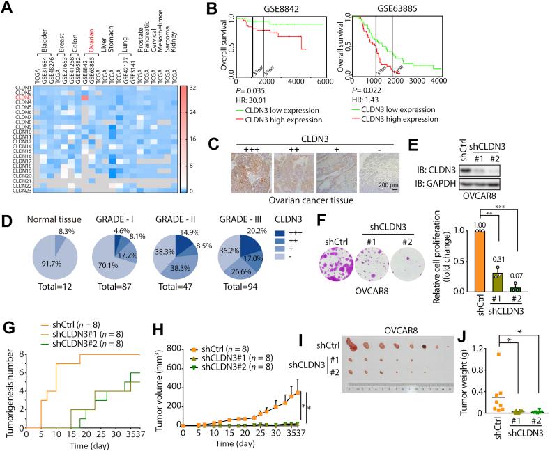 https://cdn.ncbi.nlm.nih.gov/pmc/blobs/b33f/7488353/15a495c5891f/gr1.jpg