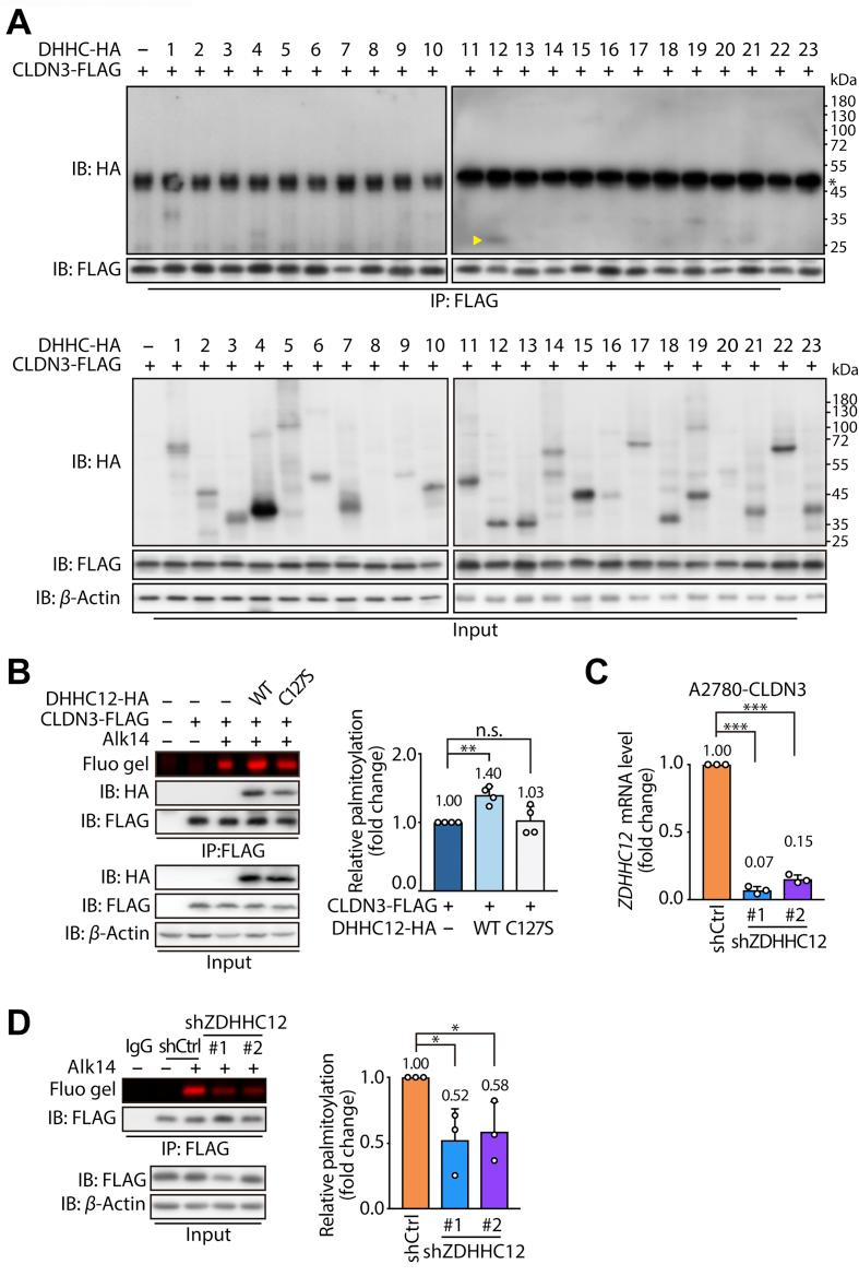 https://cdn.ncbi.nlm.nih.gov/pmc/blobs/b33f/7488353/3b1503f0954c/gr5.jpg