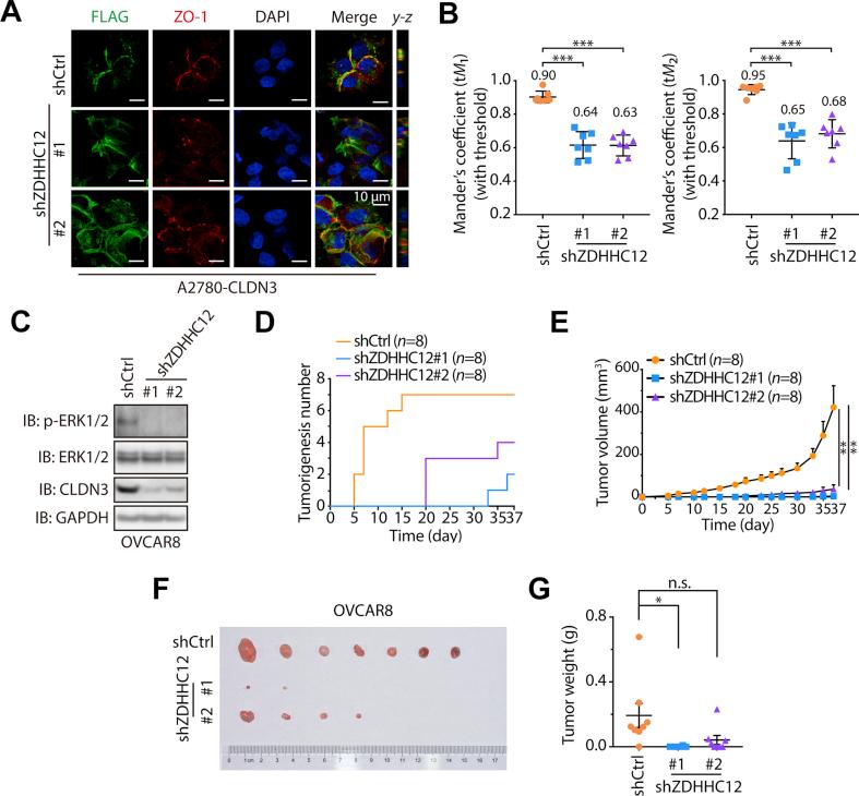 https://cdn.ncbi.nlm.nih.gov/pmc/blobs/b33f/7488353/59f4f285c4f7/gr6.jpg