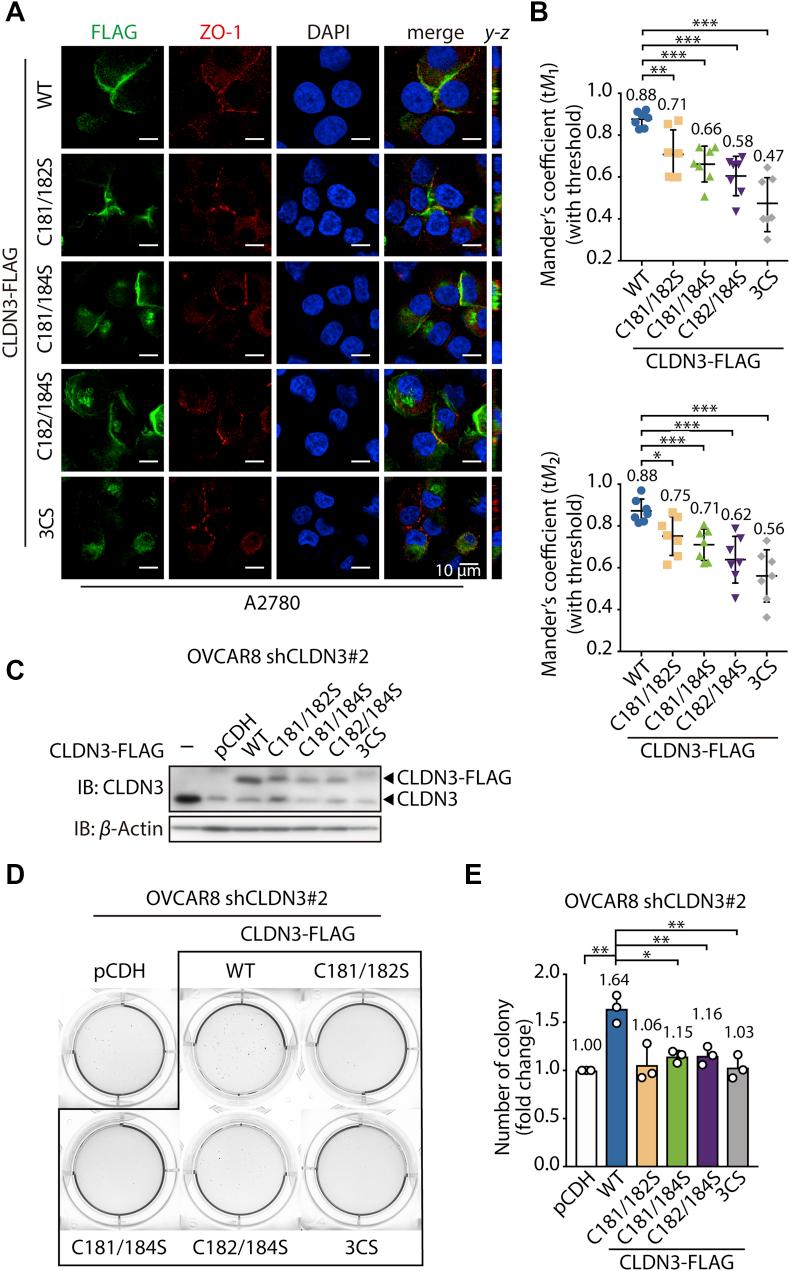 https://cdn.ncbi.nlm.nih.gov/pmc/blobs/b33f/7488353/873e32df6bfd/gr4.jpg