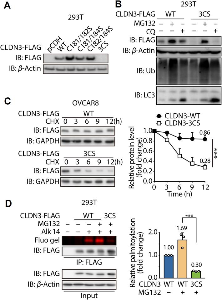https://cdn.ncbi.nlm.nih.gov/pmc/blobs/b33f/7488353/a59b19c81d65/gr3.jpg