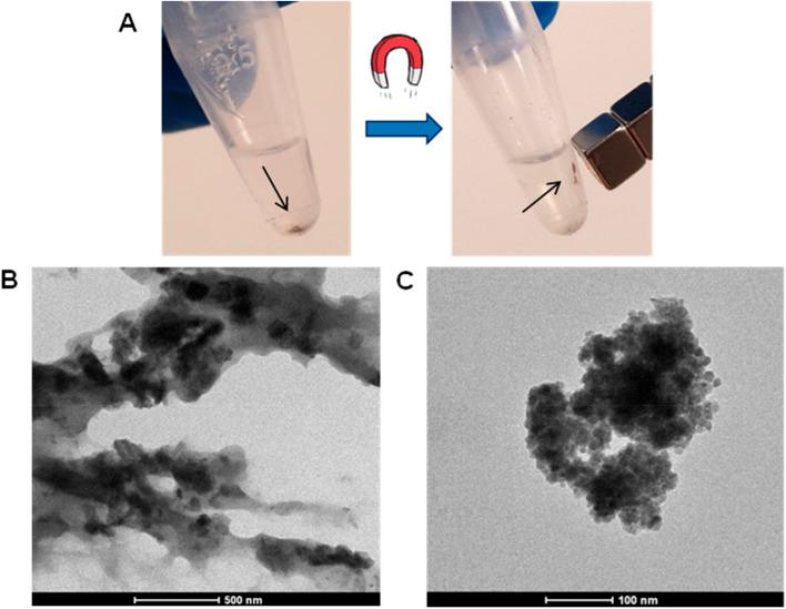 https://cdn.ncbi.nlm.nih.gov/pmc/blobs/b340/12138501/40eb92d88763/d5ra01448d-f8.jpg
