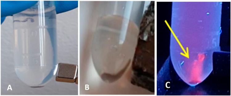 https://cdn.ncbi.nlm.nih.gov/pmc/blobs/b340/12138501/af53637865ed/d5ra01448d-f3.jpg