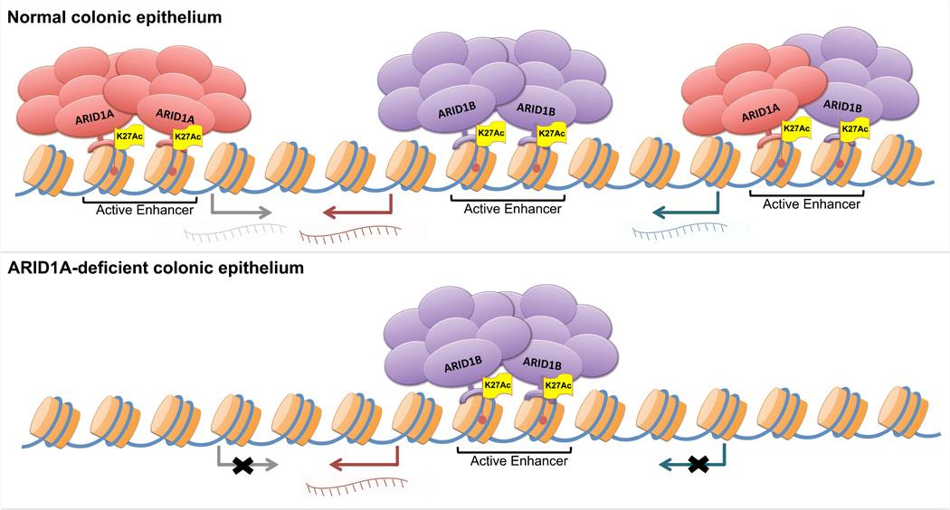 https://cdn.ncbi.nlm.nih.gov/pmc/blobs/b340/5285448/88d7af31626a/nihms831184f6.jpg