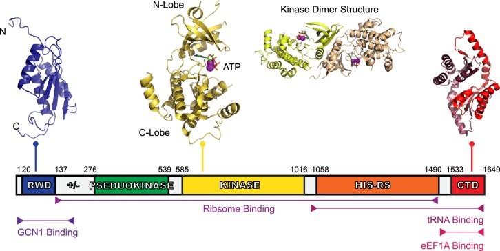 https://cdn.ncbi.nlm.nih.gov/pmc/blobs/b341/6824675/696d58a0a1c6/BST-47-1481-g0001.jpg