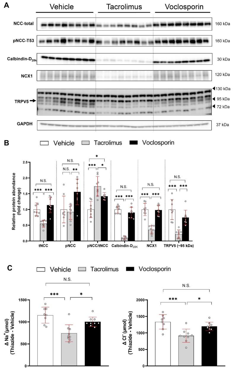 https://cdn.ncbi.nlm.nih.gov/pmc/blobs/b342/11659976/4d21f1729f79/gfae119fig5.jpg